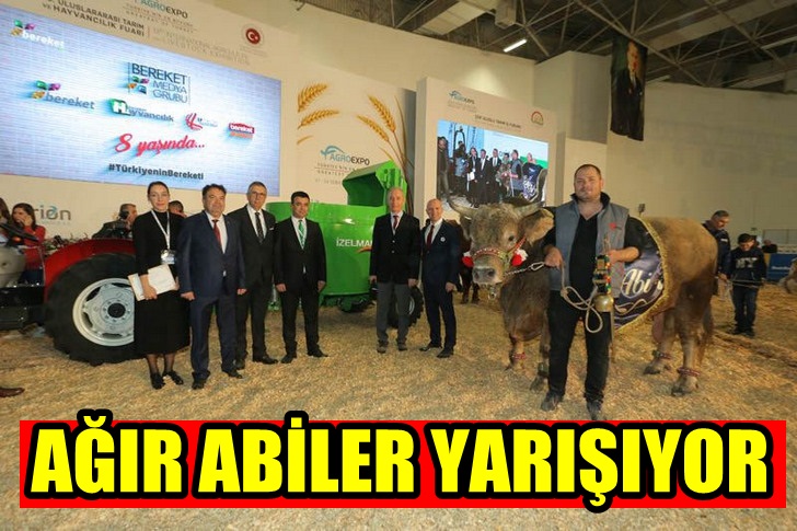 Agroexpo 600 Milyon Doların Üzerinde İş