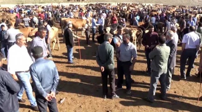 Hayvan pazarında polisten uygulamalı 