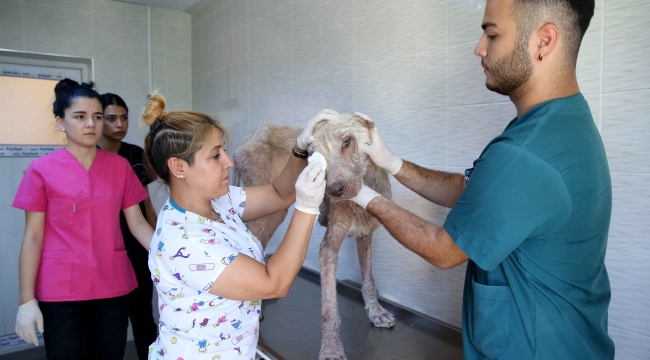 Karşıyaka'da bir 'Direniş' öyküsü 