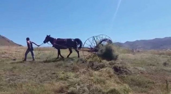 Ardahan'da Tır Tırmığa Çarptı, 1 Kişi Ağır Yaralı!..