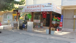  Rüzgar Züccaciye, ZEYTİNALANI