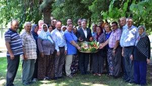 Bornova Kınalı Bamyası artık tescilli