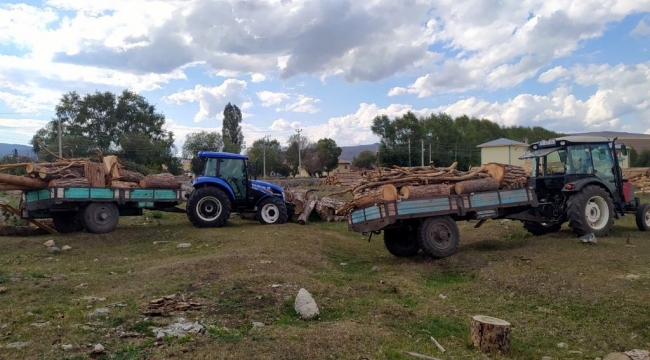 Ardahan'da kaçak ağaç keserken yakalanan 2 zanlı yakalandı