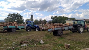 Ardahan'da kaçak ağaç keserken yakalanan 2 zanlı yakalandı