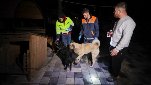 Buca Belediyesi veterinerleri deprem bölgesinde