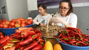 Atalık tohumların merkezi Bornova Belediyesi