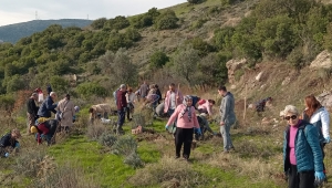 Bornova Belediyesi’nden arıcılara lavanta desteği