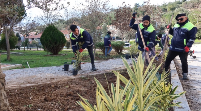 Bornova’da parklara yeni bitkiler dikiliyor