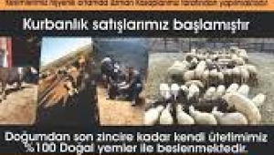 GÜLGÖNÜL ÇİFTLİĞİ Seferihisar Kurbanlık ve Adaklık